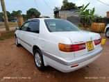 A picture of MANUAL PREMIO ON SALE 11 5 negotiable 0706689060