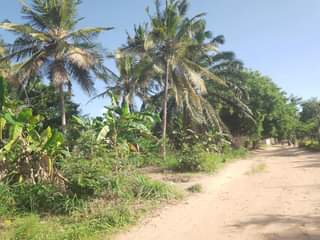 A picture of NAUZA KIWANJA KIPO KIBAHA KONGOWE UMBALI KILOMITA MOJA KUTOKA MOROGORO