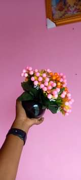 A picture of Tunauza maua artificial.0762988323