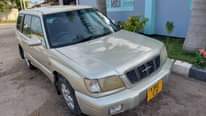 A picture of Subaru Forester