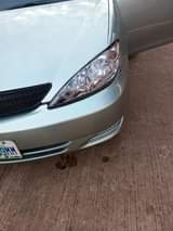 A picture of This clean and sound Camry 2 4 Is readily available