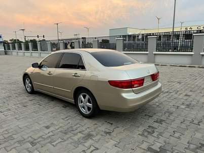 A picture of Tokunbo fairly use