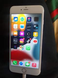 Apple F.