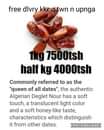 A picture of Algerian dates available