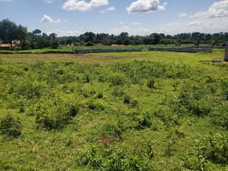 A picture of Lakeview plot for sale in Garuga