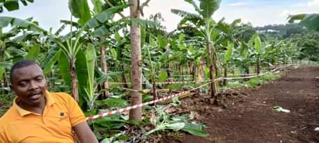 A picture of Plots available