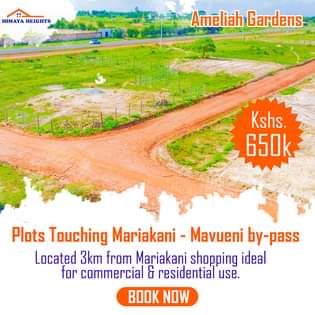plots mariakani