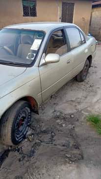 A picture of 1 9m 0653323677