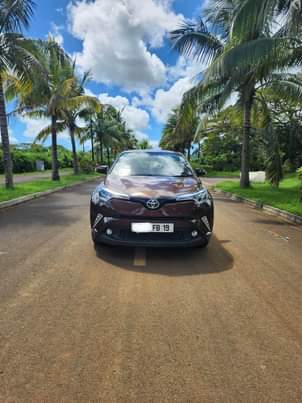 hybrid cars