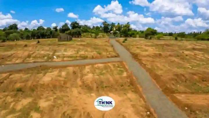 50 100 plots