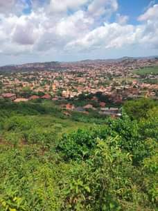 A picture of Land