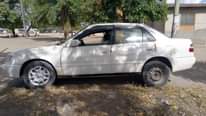 A picture of Corolla bei 3m Cc1490 0688147887