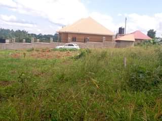 Ssentumbwe B.