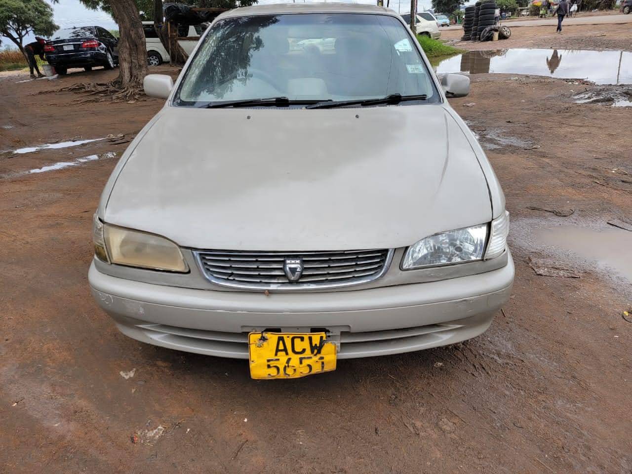 used toyota corolla