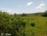 A picture of  200 Acres are available for sale in Kiboga Lwamagaali