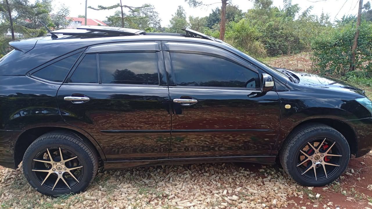 A picture of Harrier 240