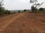 A picture of Gayaza Busukuma town plots on quick sale
