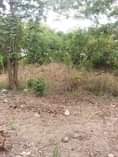 A picture of SHAMBA ZURI LINAUZWA LIPO ZEGERO MZENGA WILAYA YA KISARAWE MKOA
