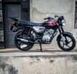 A picture of Boxer 125