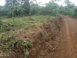 A picture of Plots for sale at Buddo Kimbejja on Masaka rd