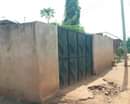 A picture of INAUZWA MOROGORO NANE NANE TUNGIA MIL 12
