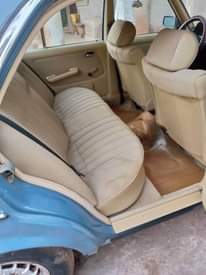 A picture of Car