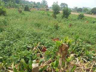 A picture of 100 by 100 ft that touches the tarmac road of