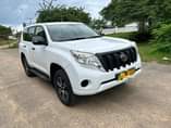 A picture of Prado TX 150