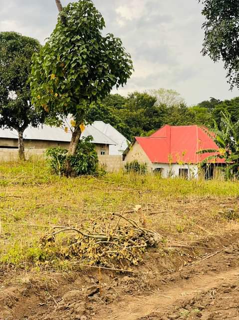 A picture of Mradi wa viwanja maji ya chai kwa Alois mita 800
