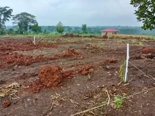 A picture of Plots for sale in kalagi mukono along kayunga road 0702302042