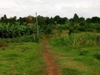 Ssentumbwe B.