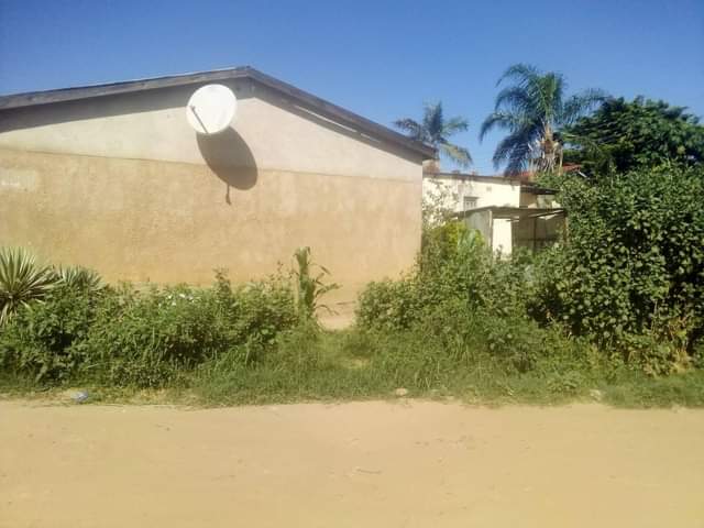 kabanana