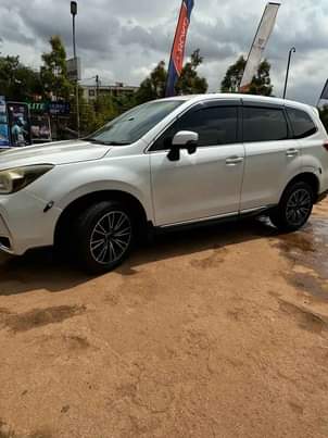 A picture of 2014 Subaru Forester