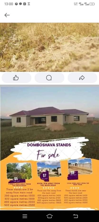 stands