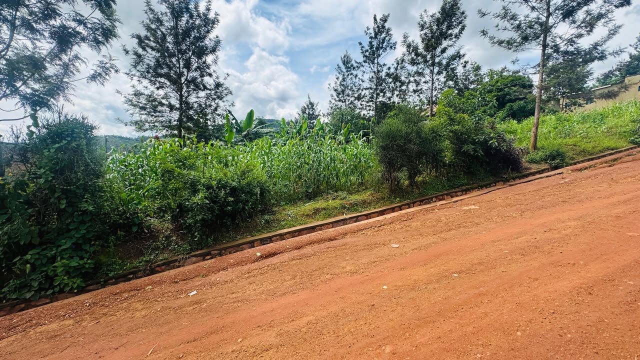 houses for sale