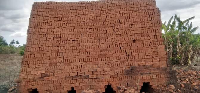 bricks