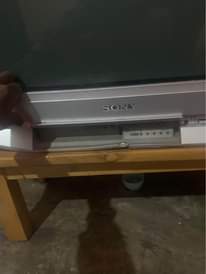 A picture of Alex2561