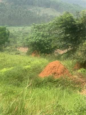 A picture of KIBANJA FOR SALE 80 ft by 300 ft for sale