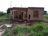 A picture of HOT DEAL WELL PLANED SHELL S HOUSE IS UP FOR
