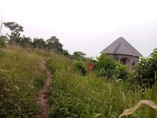 A picture of PLOT 50 100ft for sale in Nakaseke Kapeeka