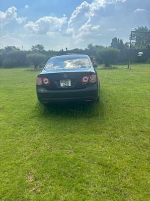 VW's F.