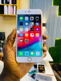 A picture of iPhone 6plus