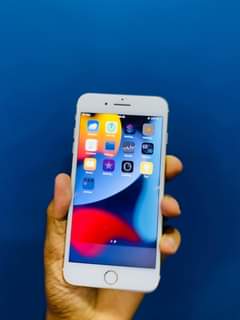 A picture of IPhone 7 Plus