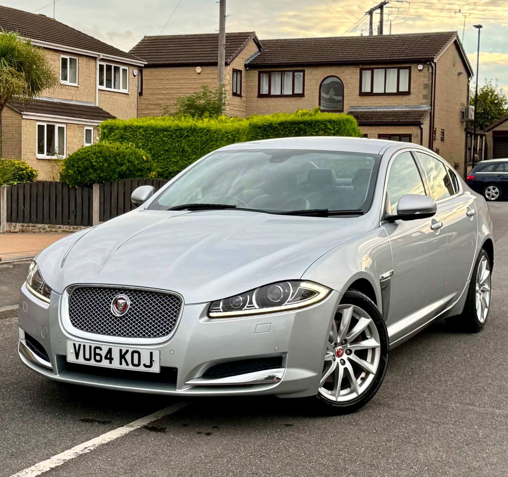jaguar