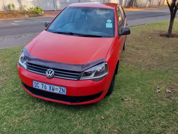 polo vivo