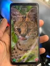 A picture of samsung S9