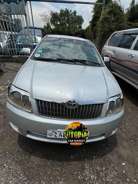 used toyota corolla