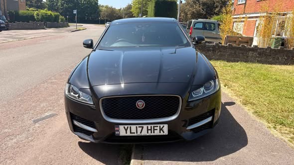 jaguar