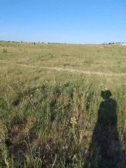 farming