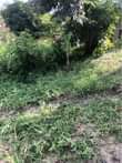 A picture of Kiwanja Kinauzwa Kingazi Malamba Dar Es Salaam
